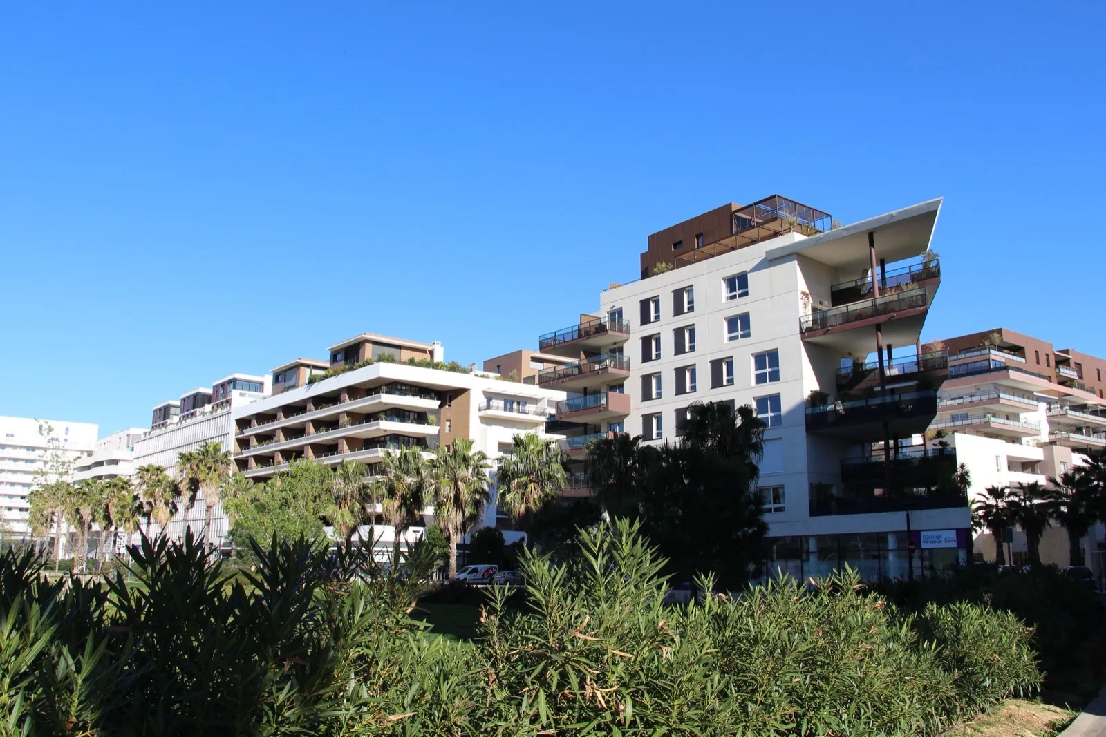 Immeubles contemporains à terrasses végétalisées et palmiers, quartier Port Marianne