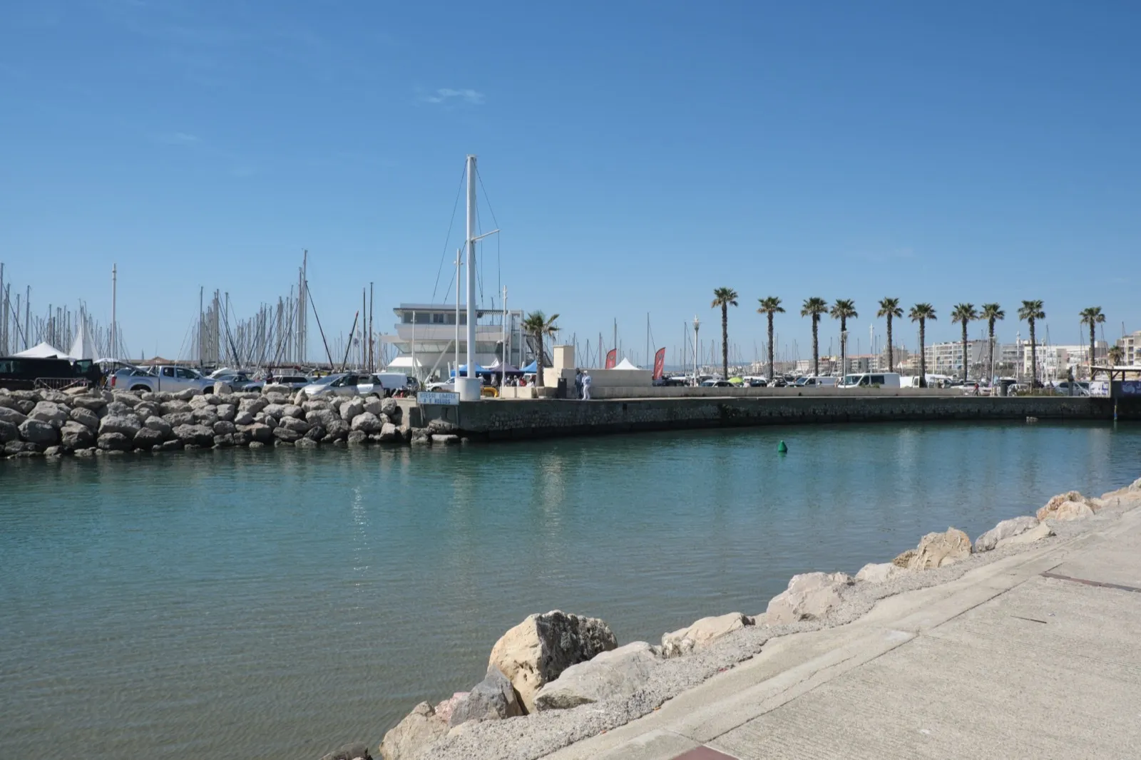 Port de plaisance de Palavas-les-Flots, mâts de voiliers et palmiers du front de mer