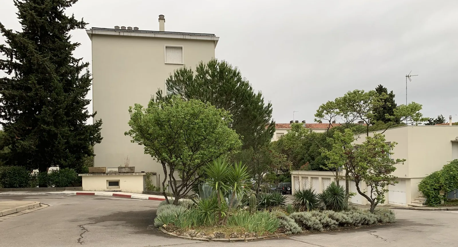 Voie résidentielle plantée de pins et de yuccas au square Sainte-Bernadette, secteur Hôpitaux-Facultés à Montpellier